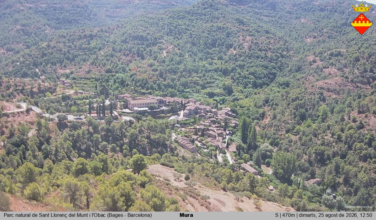 Mura 
