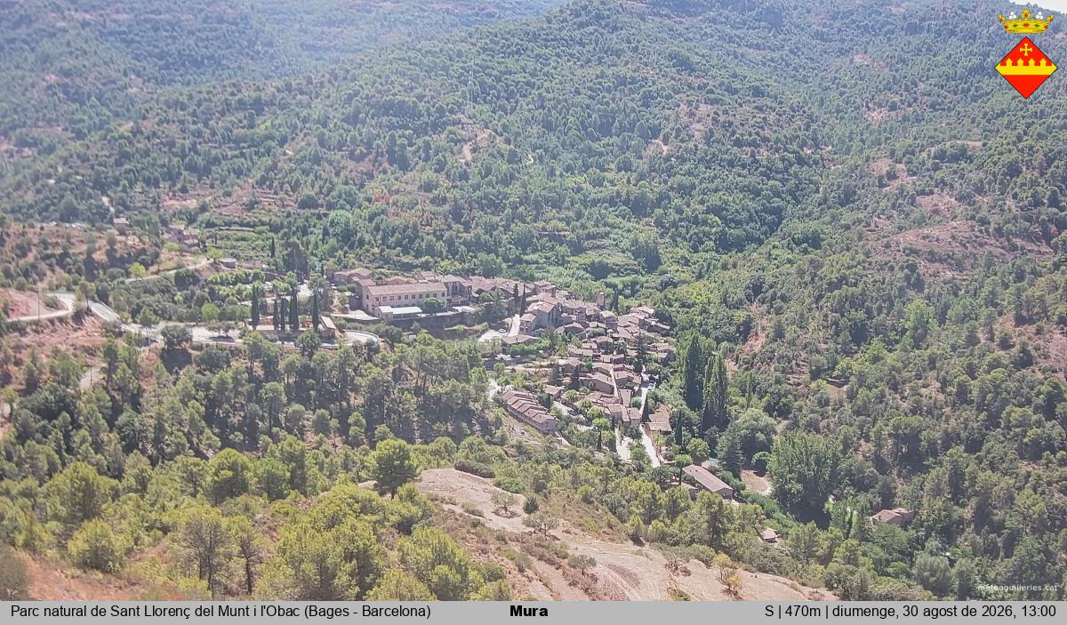 Mura 