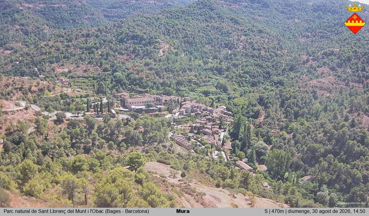 Mura 