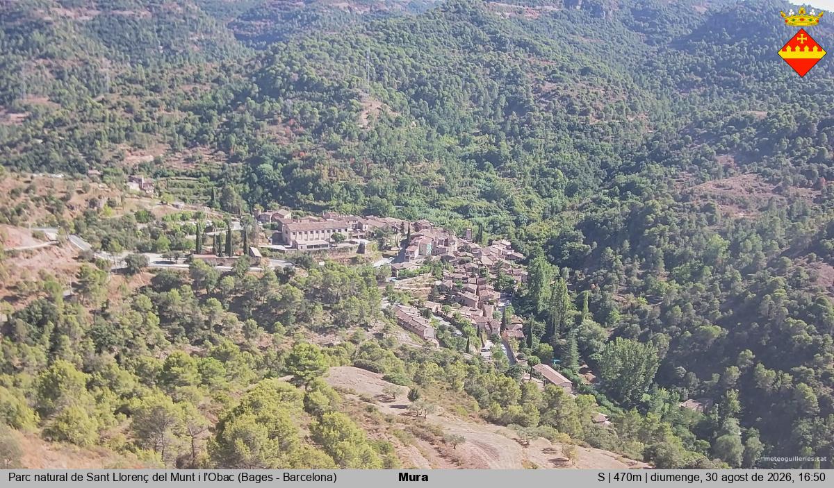 Mura 