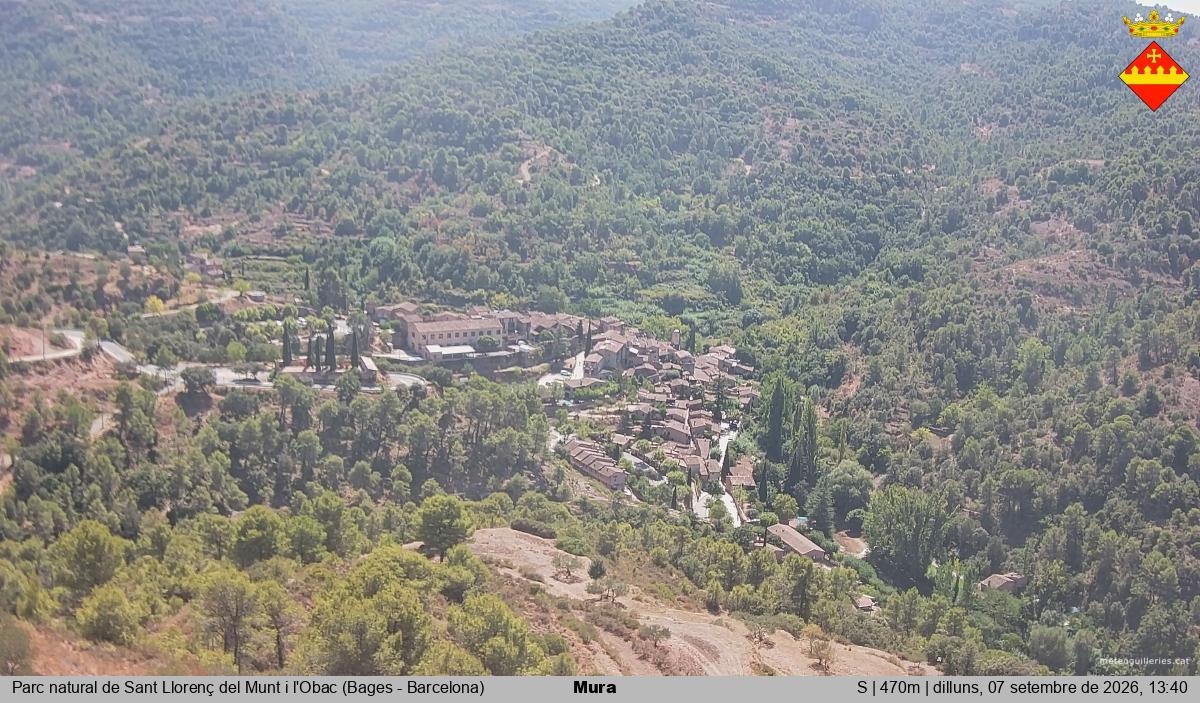 Mura 