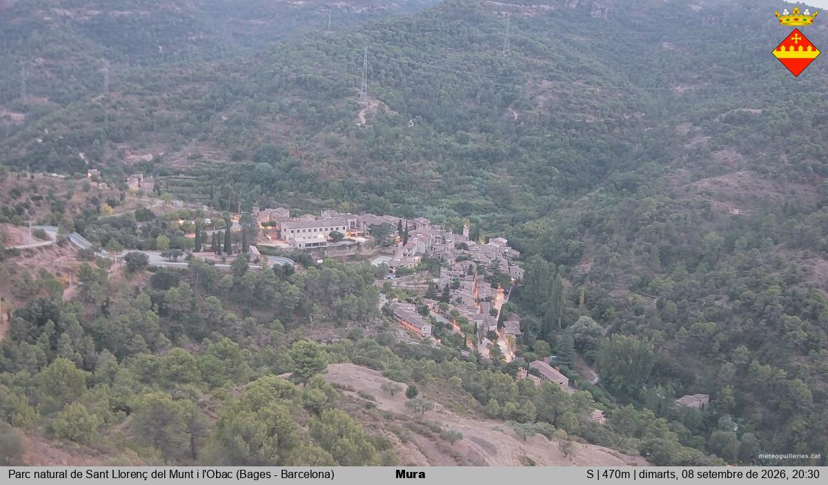 Mura 
