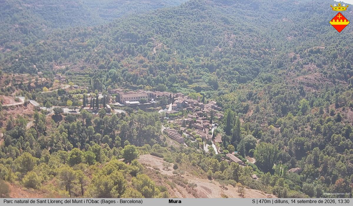 Mura 