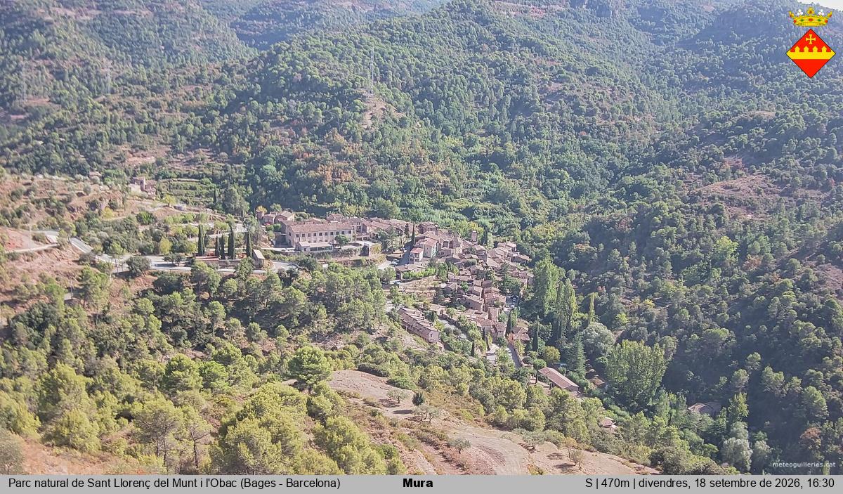 Mura 