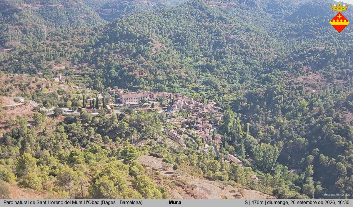 Mura 