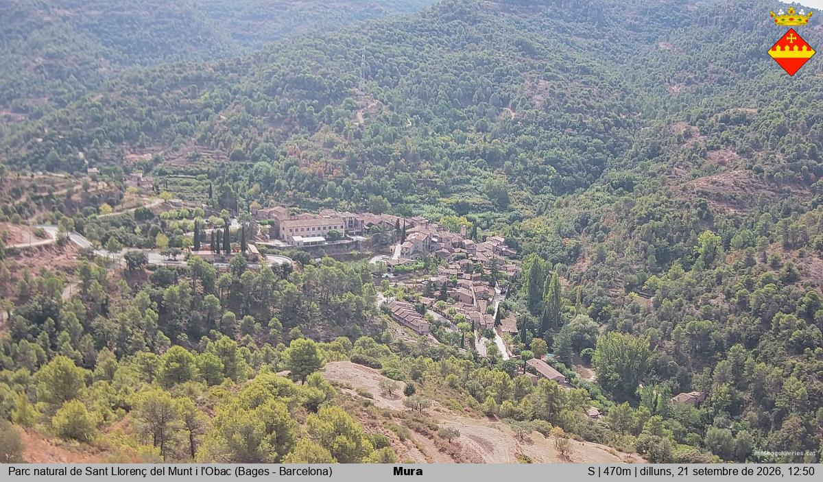 Mura 