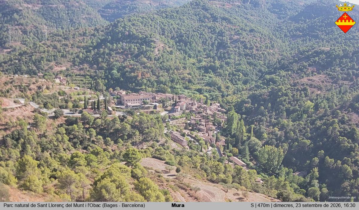 Mura 