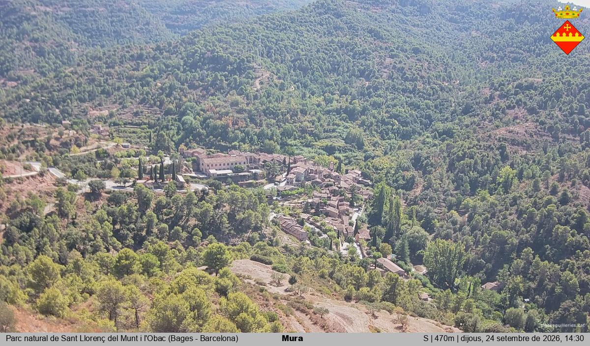 Mura 