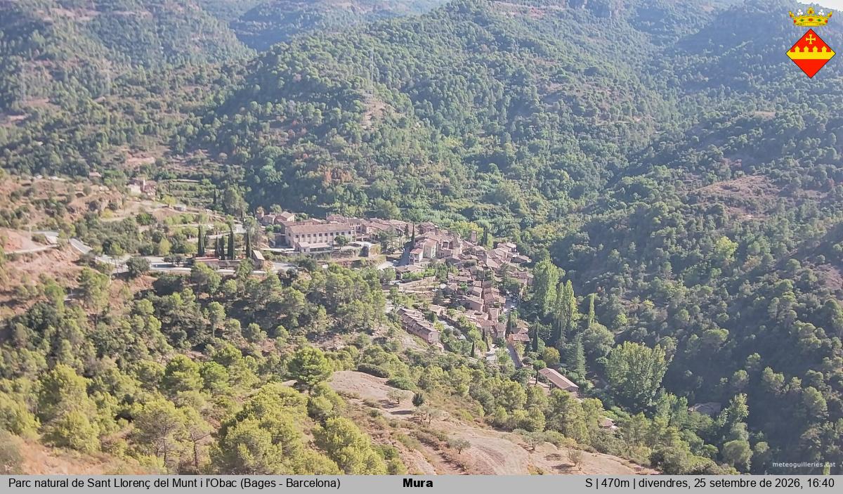 Mura 
