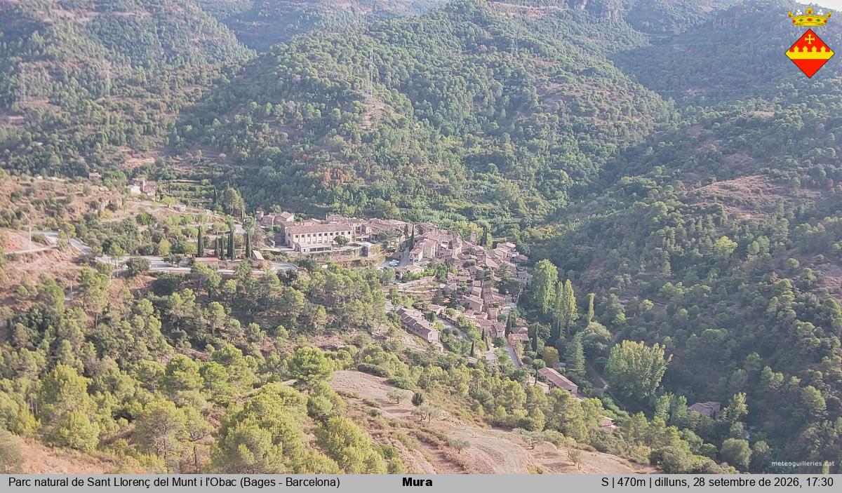 Mura 