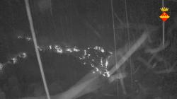 Webcams