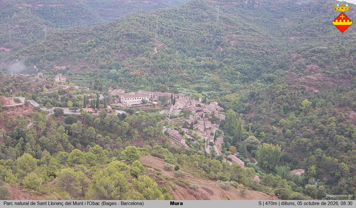 Mura 