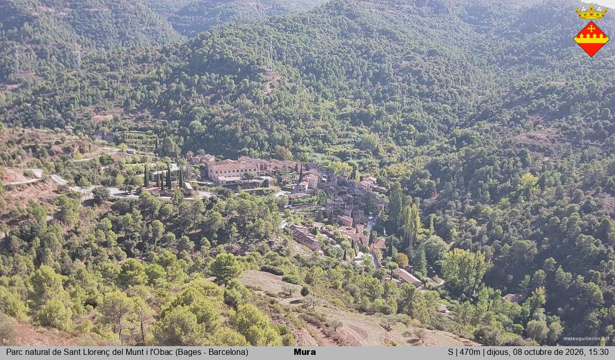 Mura 