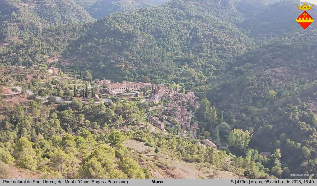 Mura 