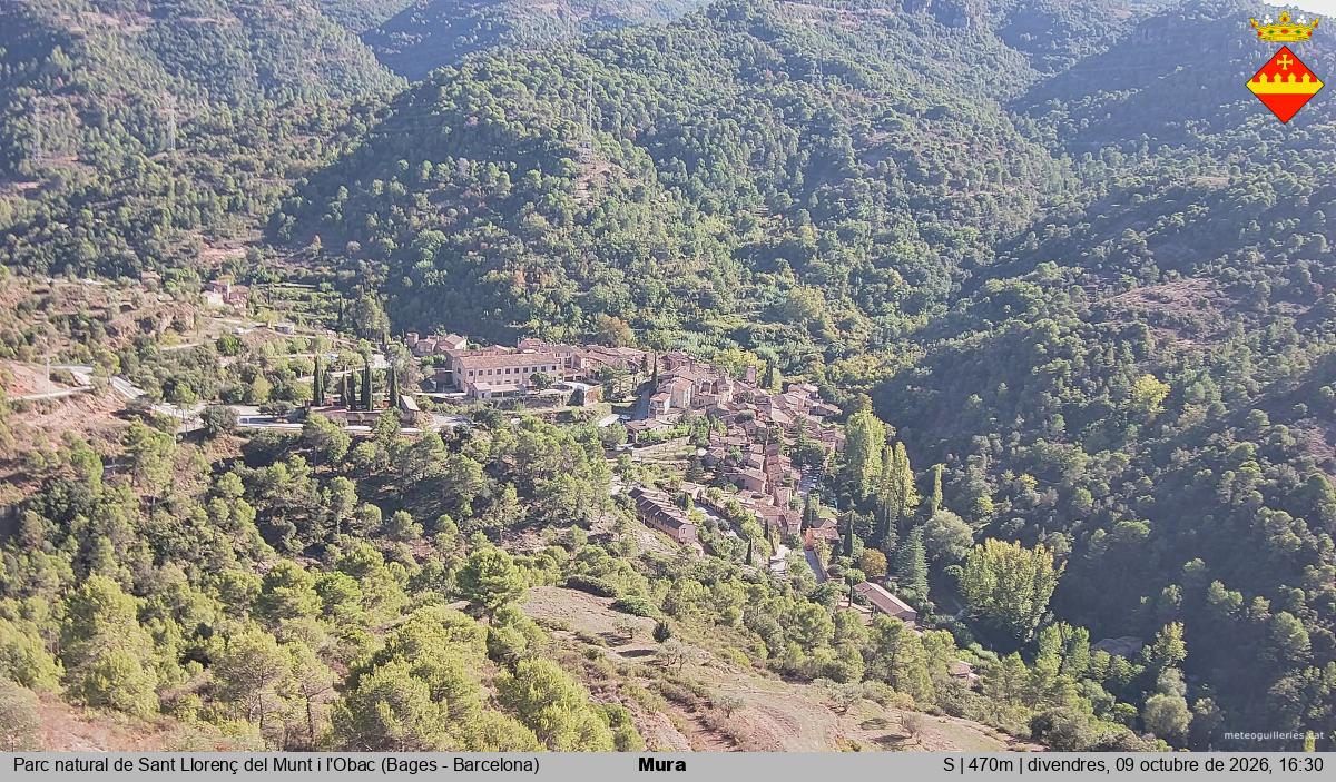 Mura 