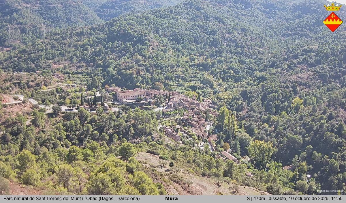 Mura 