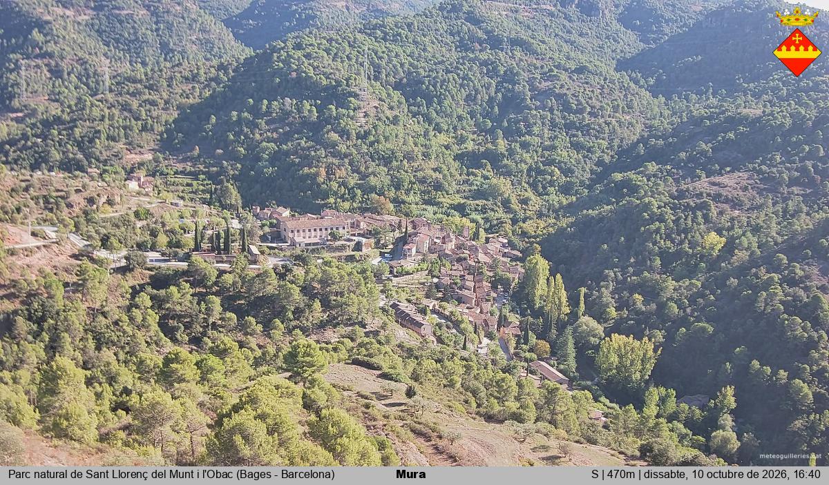 Mura 