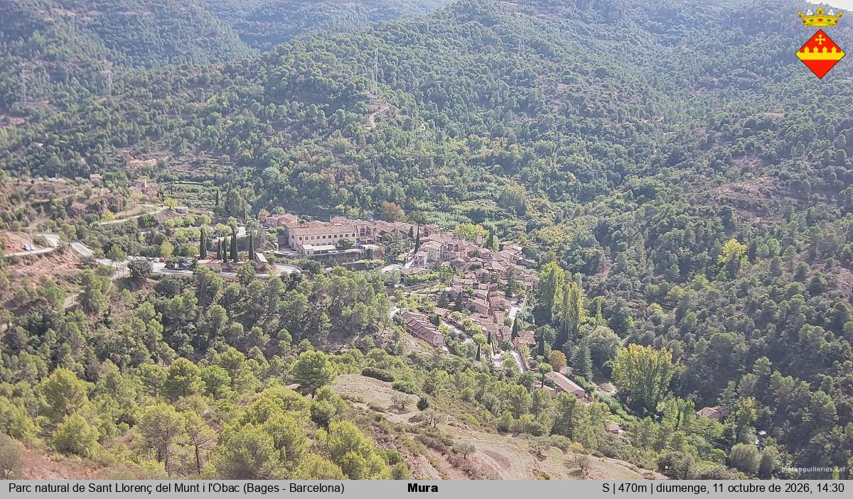 Mura 