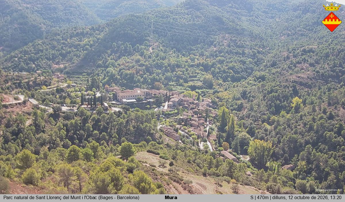 Mura 