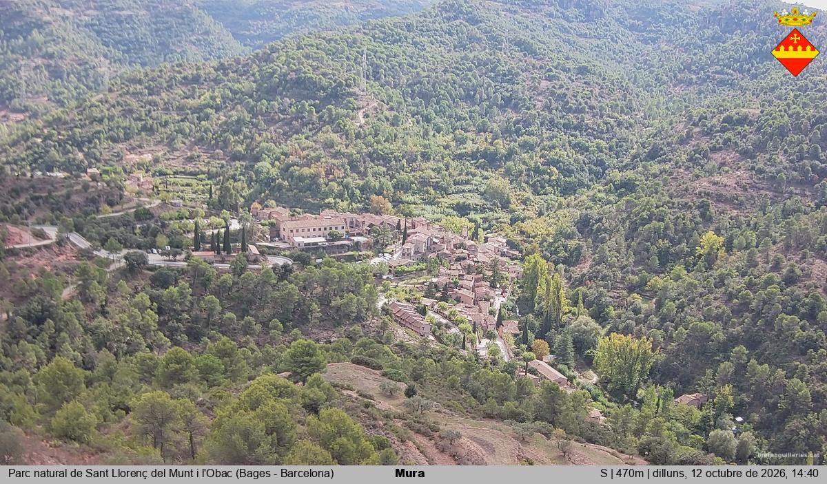Mura 