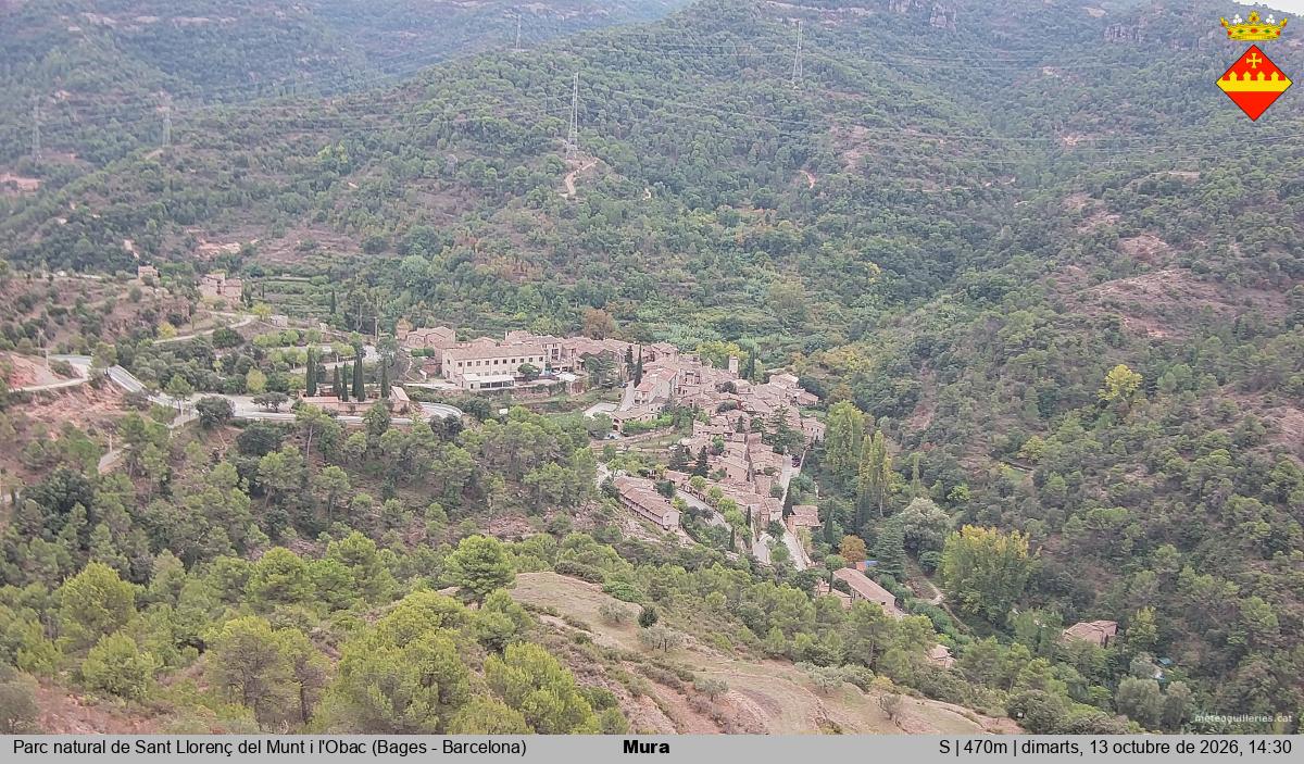 Mura 