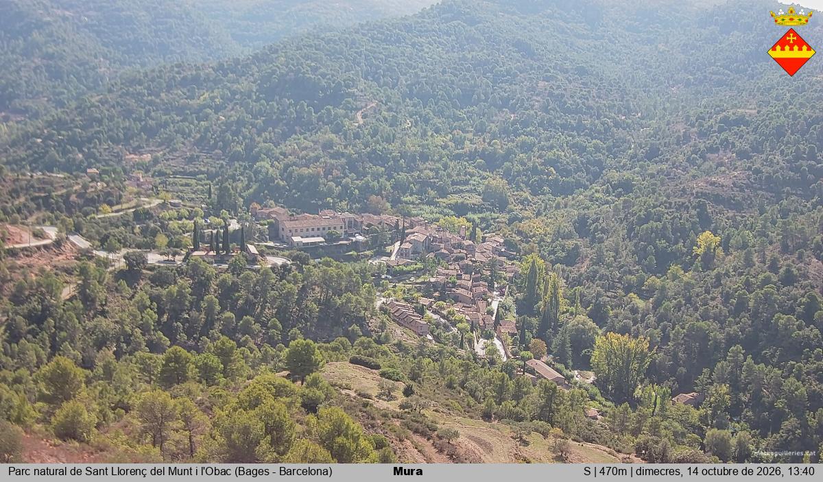 Mura 