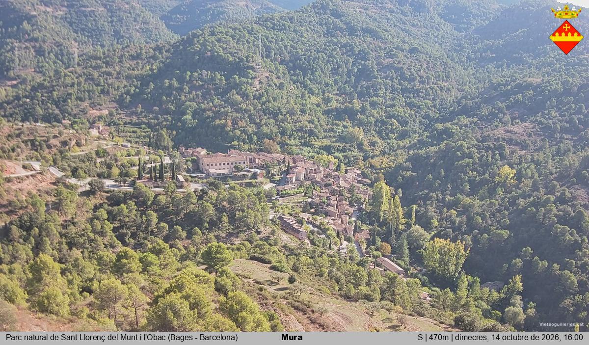 Mura 