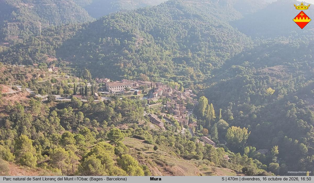 Mura 
