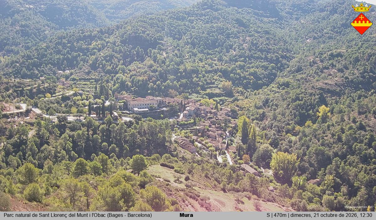 Mura 