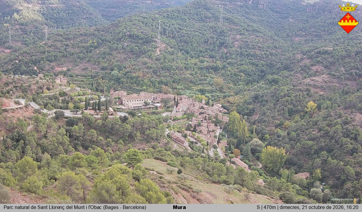 Mura 