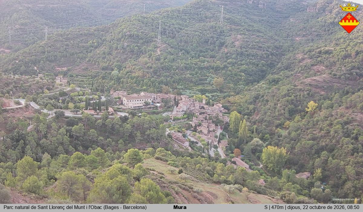 Mura 
