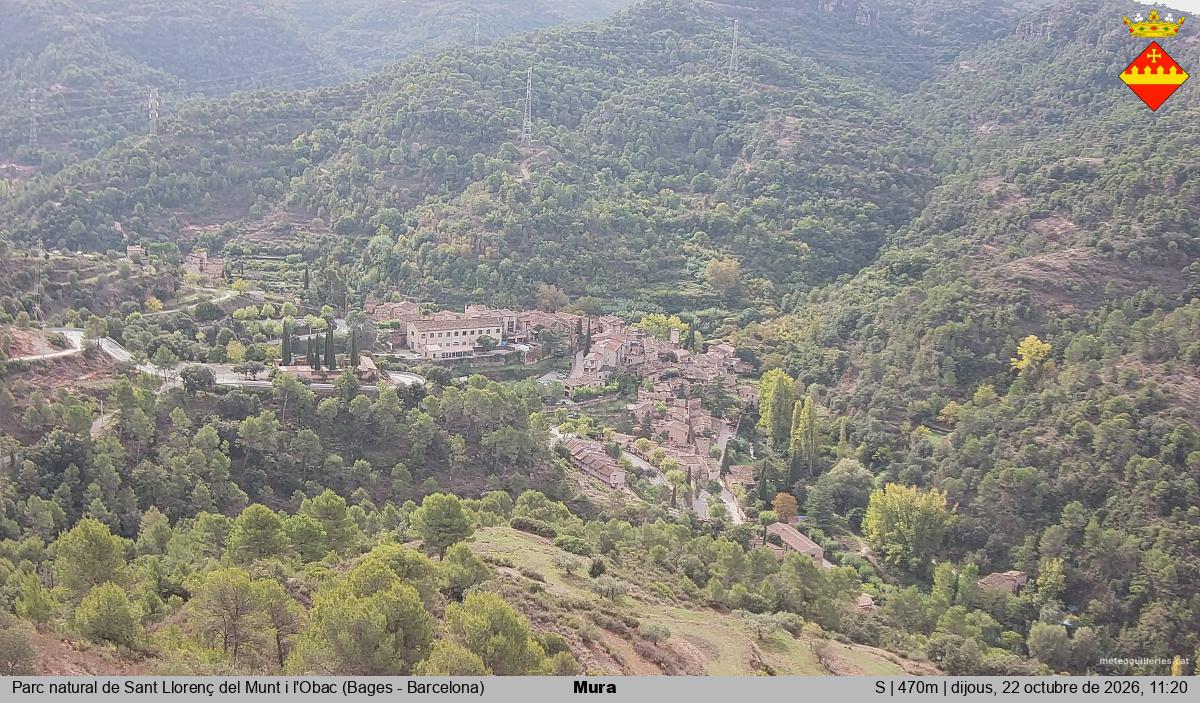Mura 