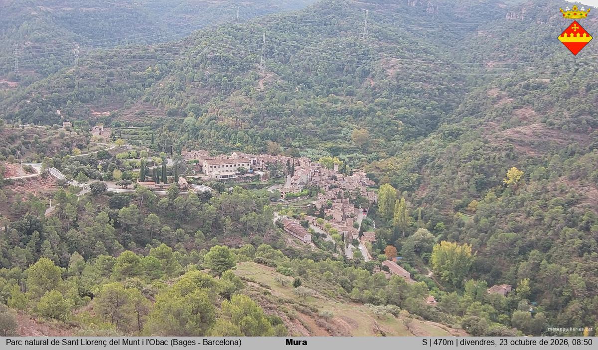 Mura 