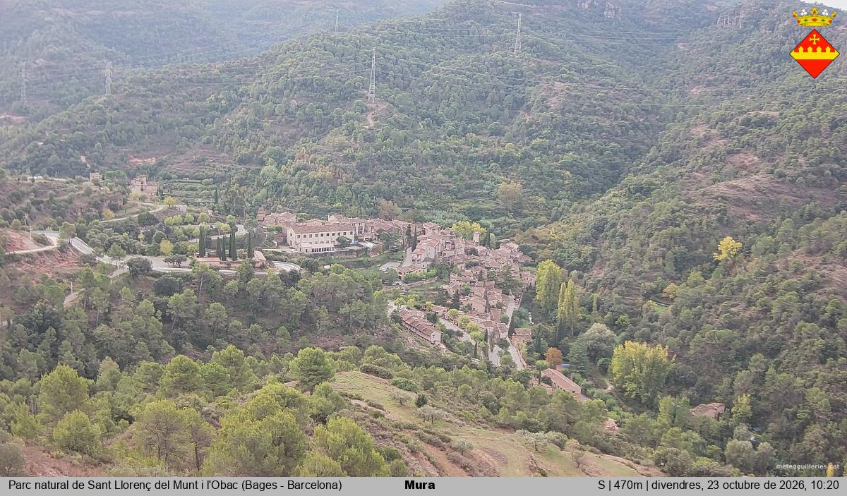 Mura 