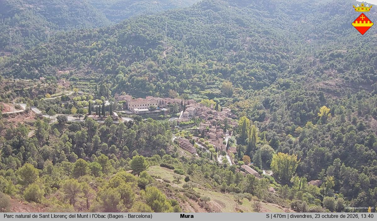 Mura 