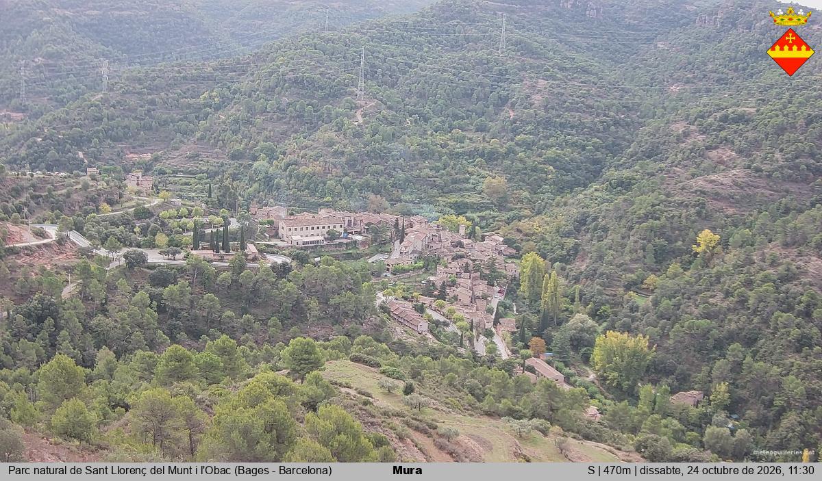 Mura 