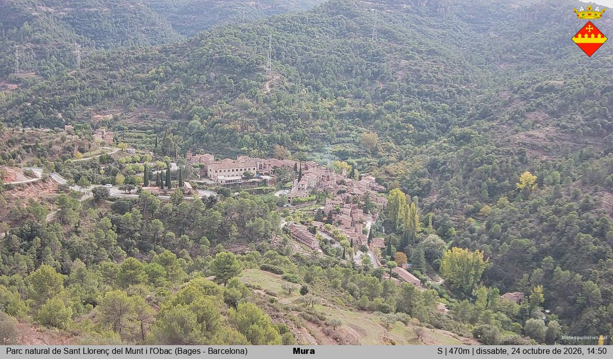 Mura 