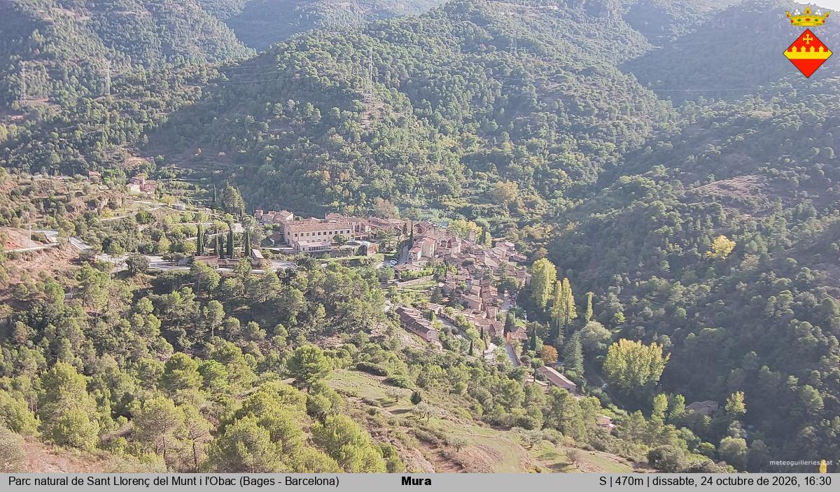 Mura 