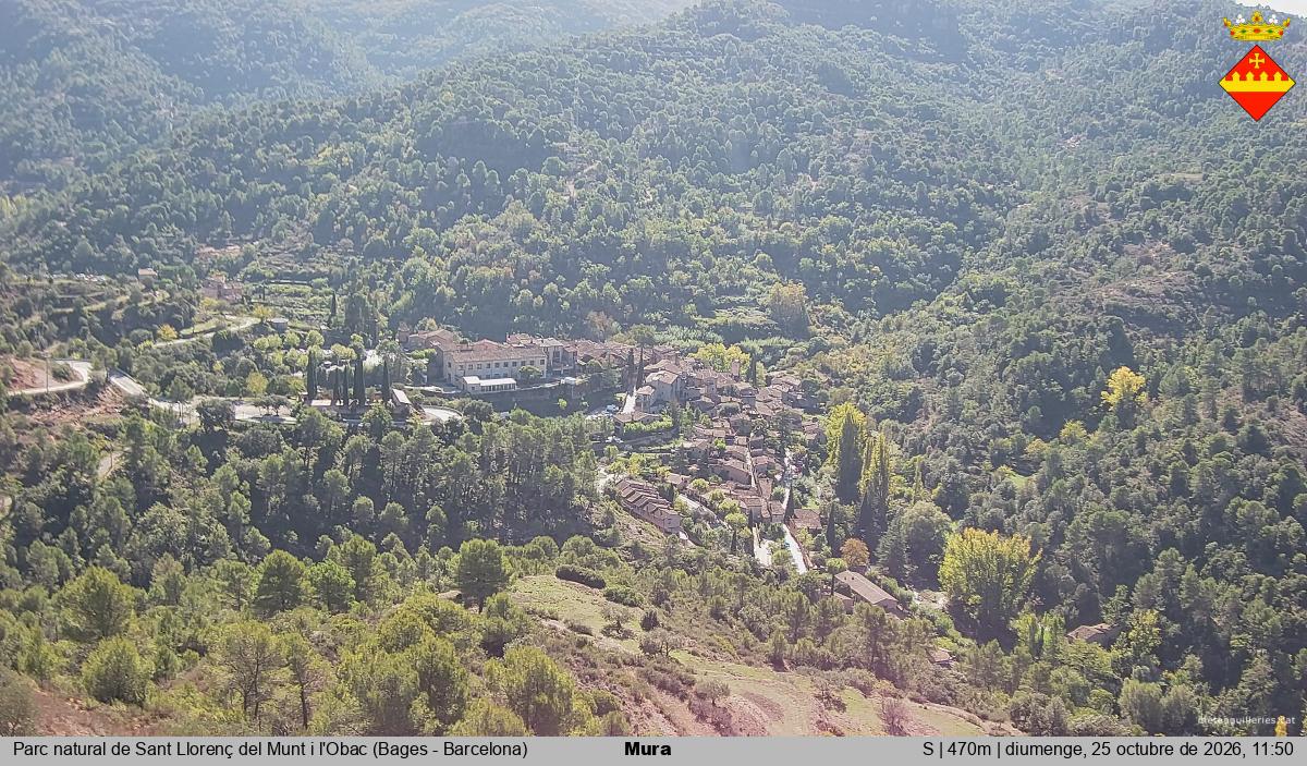 Mura 