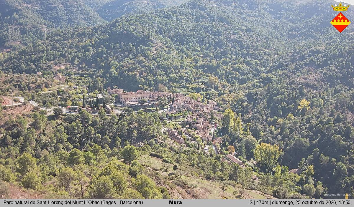 Mura 