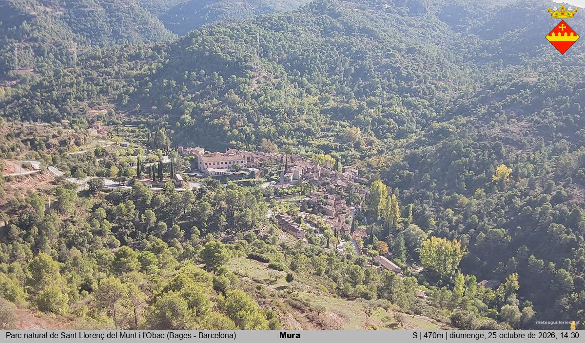 Mura 