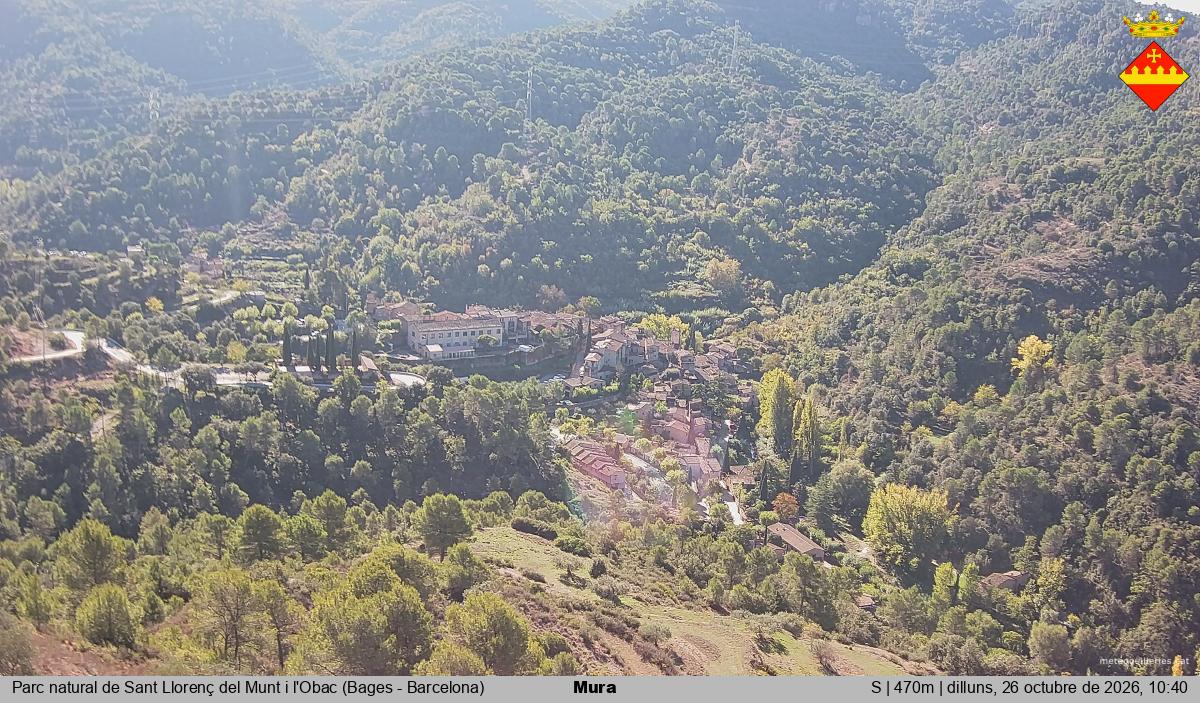 Mura 