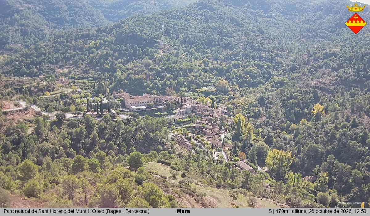 Mura 