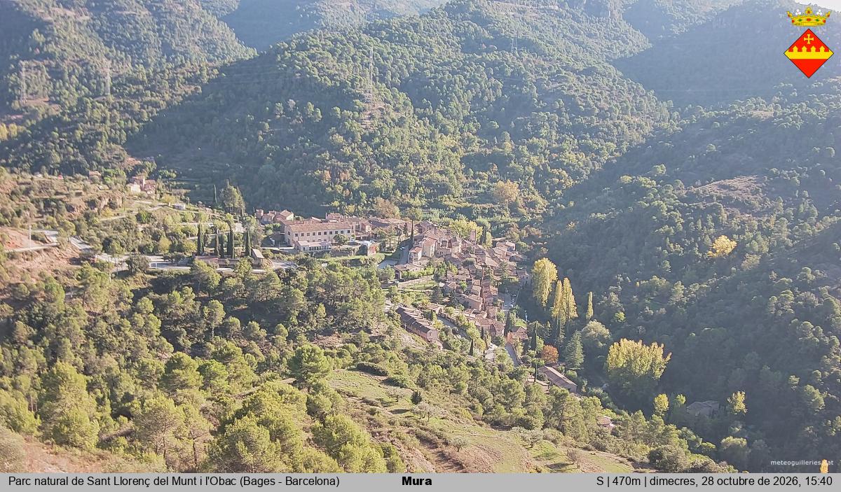 Mura 