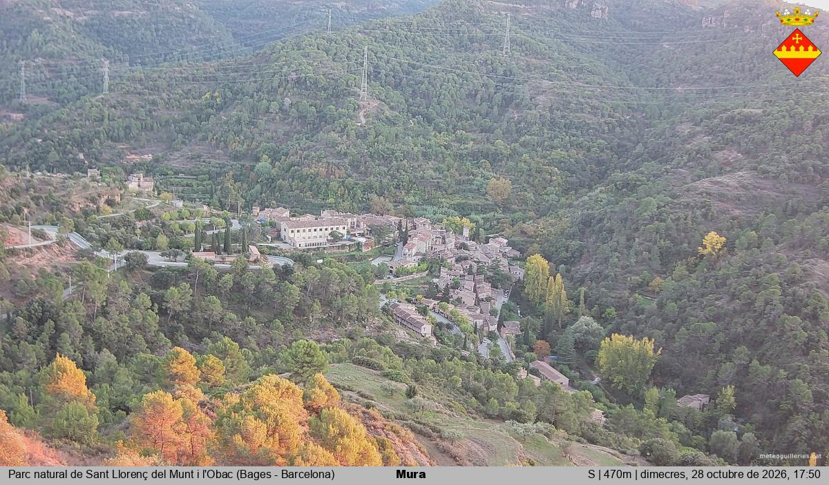 Mura 