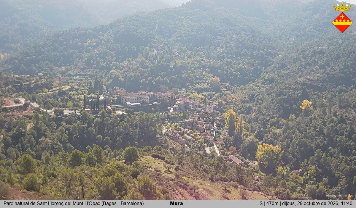 Mura 