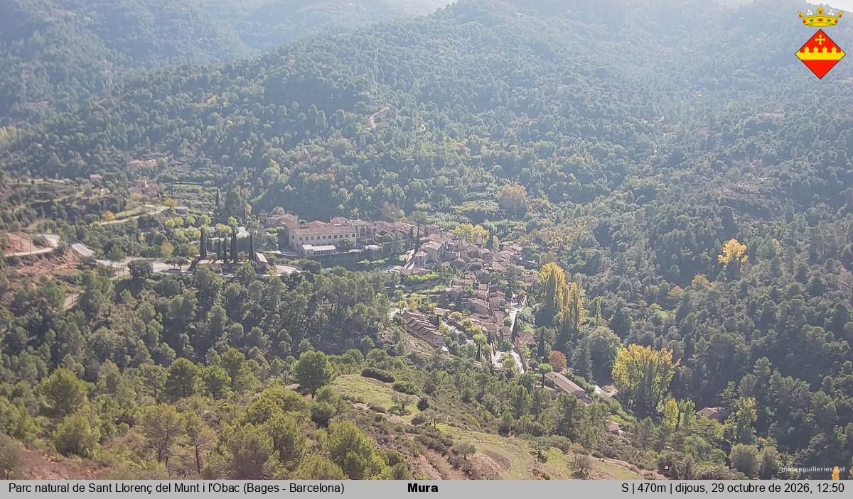 Mura 