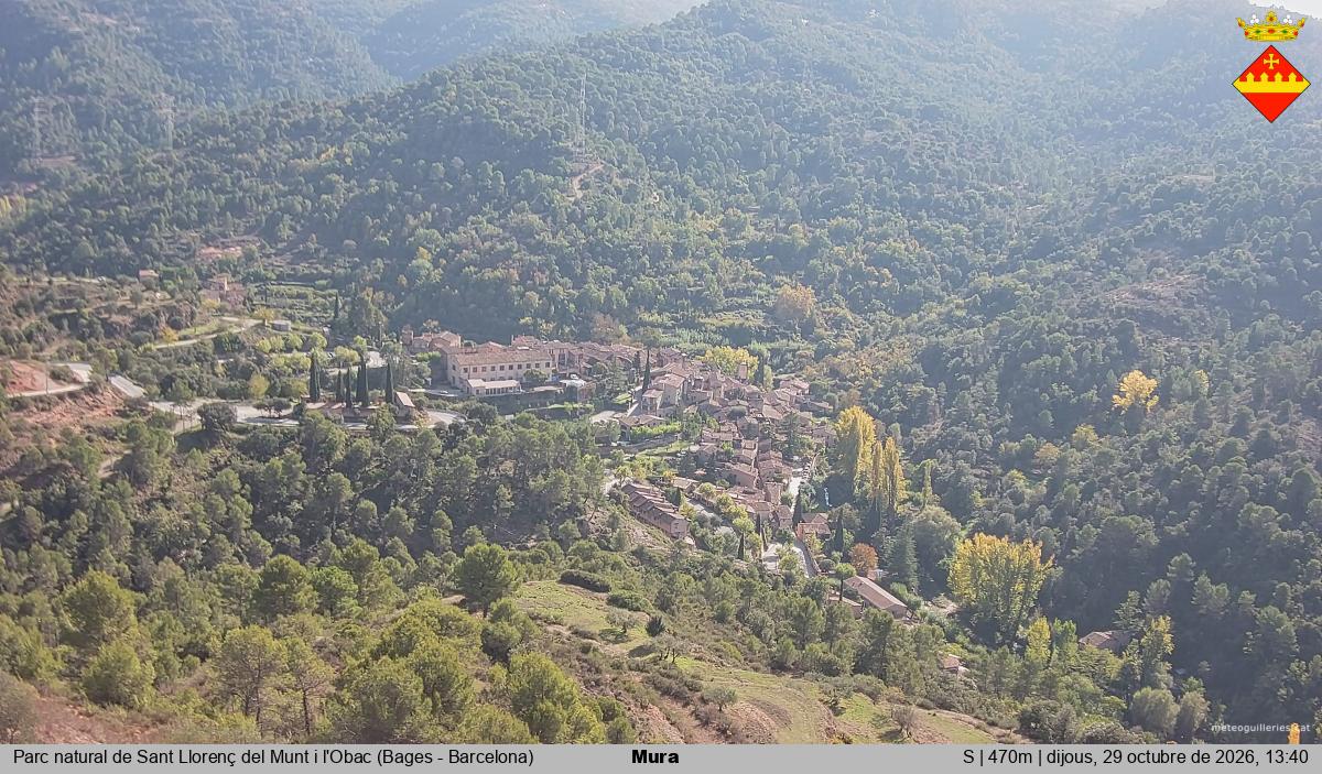 Mura 