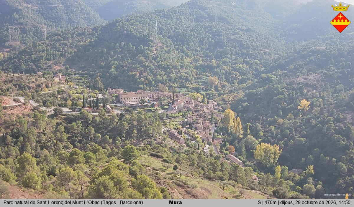 Mura 