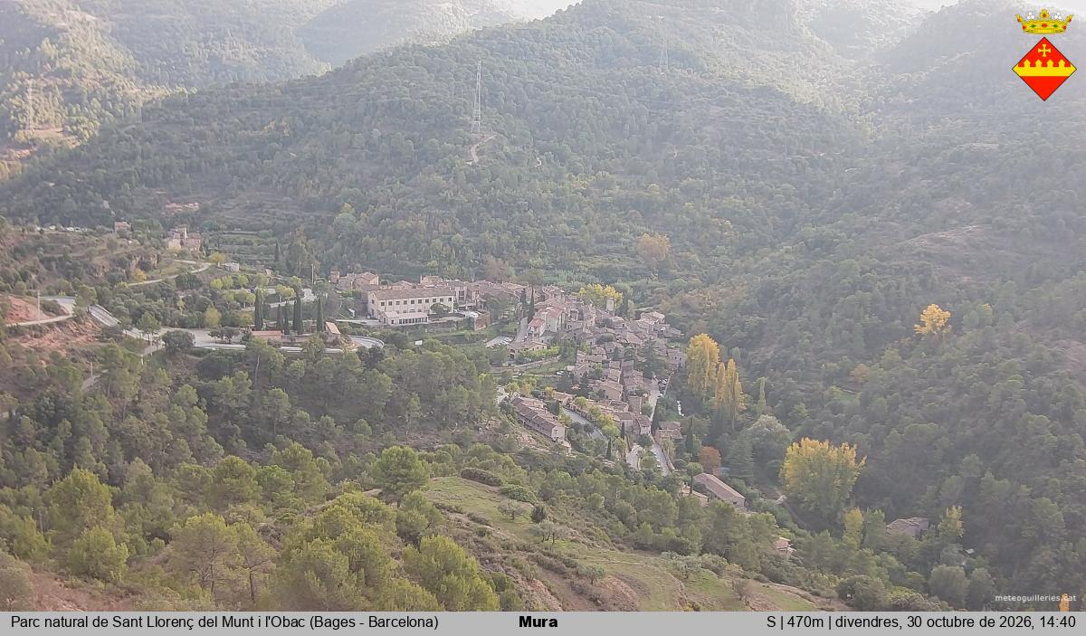 Mura 